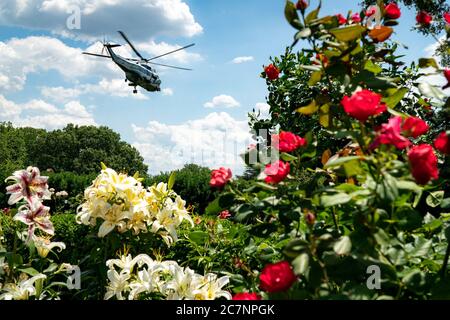 Washington, États-Unis d'Amérique. 15 juillet 2020. Marine One avec le président Donald J. Trump à bord quitte la pelouse sud de la Maison Blanche le mercredi 15 juillet 2020, pour commencer son voyage à Atlanta People: Le président Donald Trump Credit: Storms Media Group/Alay Live News Banque D'Images