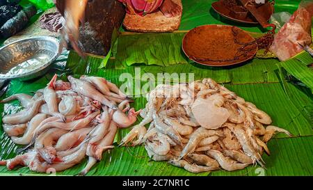 Marché de poissons local avec eau douce et poissons de mer Vente à Kolkata Banque D'Images