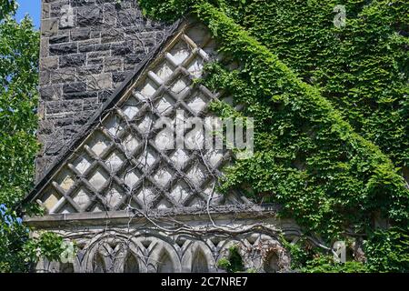Vue rapprochée de l'ancien bâtiment universitaire en pierre recouvert de lierre gothique Banque D'Images