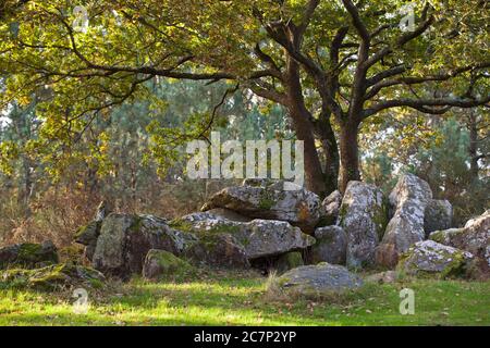 Dolmen Riholo dans le der Bretagne Banque D'Images