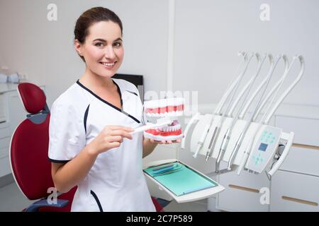 portrait d'une femme dentiste ou hygiéniste montrant comment nettoyer les dents avec des mâchoires artificielles et une brosse à dents dans une clinique moderne Banque D'Images