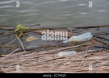 Des bouteilles en plastique et d'autres débris en plastique flottent dans la zone côtière du Danube, dans la réserve de biosphère du Danube. Déchets plastiques problème de pollution environnementale. Les déchets de plastique et autres de toute l'Europe sont évacués par le Danube dans la mer Noire. Banque D'Images