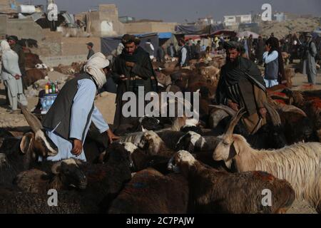 Kaboul, Afghanistan. 19 juillet 2020. Les populations locales visitent un marché du bétail avant le festival annuel Eid al-Adha à Kaboul, en Afghanistan, le 19 juillet 2020. Credit: Sayed Mominzadah/Xinhua/Alay Live News Banque D'Images