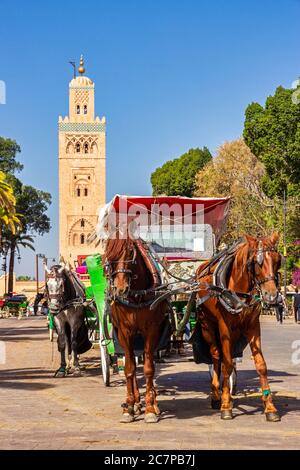 Des calèches attendent les touristes sur la place Djemaa-el-Fna, près de la mosquée de Koutoubia. Banque D'Images