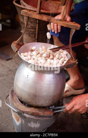 Homme Boiling Cocoons en soie dans une grande casserole Banque D'Images