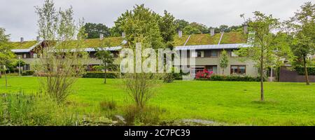 Arnhem, pays-Bas - 17 juillet 2020 : maisons modernes avec toit de gazon écologique vert dans la banlieue Klarenbeek d'Arnhem, pays-Bas Banque D'Images