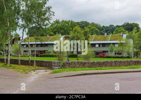 Arnhem, pays-Bas - 17 juillet 2020 : maisons modernes avec toit de gazon écologique vert dans la banlieue Klarenbeek d'Arnhem, pays-Bas Banque D'Images