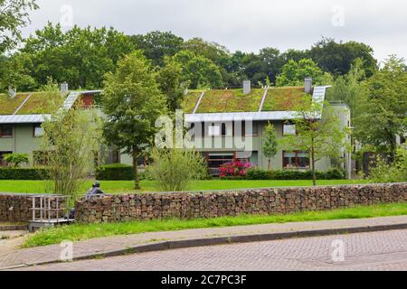 Arnhem, pays-Bas - 17 juillet 2020 : maisons modernes avec toit de gazon écologique vert dans la banlieue Klarenbeek d'Arnhem, pays-Bas Banque D'Images