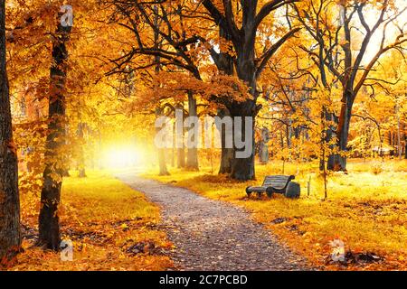 Ancien banc en bois dans le parc d'automne sous des arbres colorés avec des feuilles dorées Banque D'Images