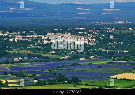 Paysage rural de Provence. Vue d'en haut sur les champs de lavande, les fermes et le village médiéval de Sault Banque D'Images