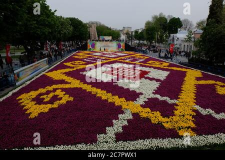 Un tapis vivant de tulipes, fleur d'amour avec ses couleurs symboliques – bonheur rose, royauté pourpre, gaieté jaune avec le blanc de pardènes Banque D'Images