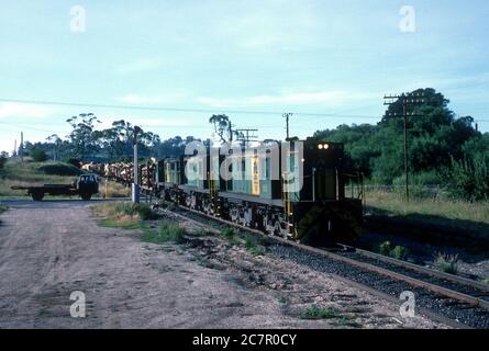 Les locomotives diesel Tasmanian n° 875, 867, 864 de la livrée nationale australienne tractant un train de grumes au croisement de Lemana, Tasmanie, Australie. 4 janvier 1988. Banque D'Images