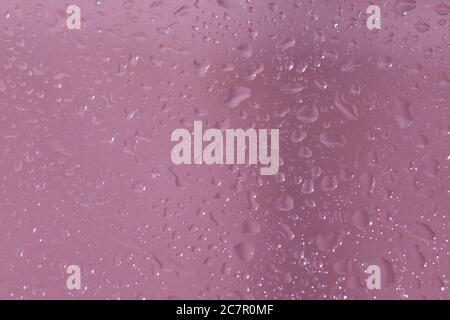 Photo macro de gouttes d'eau sur une plaque de verre avec un fond rose Banque D'Images