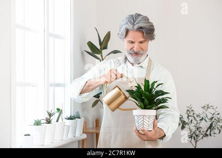 Homme senior arrosoir des plantes à la maison Banque D'Images