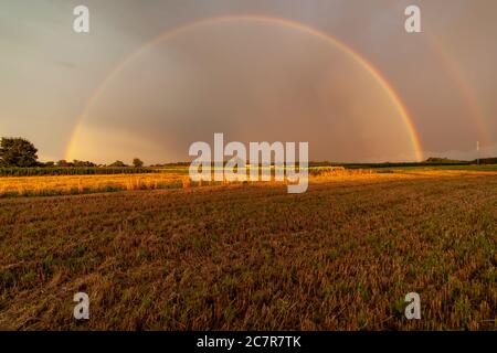 Magnifique paysage agricole avec champ de tournesols et magnifique arc-en-ciel dans le ciel, vue naturelle sur les terres agricoles Banque D'Images