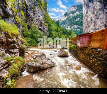 Rivière de montagne rapide à Bicaz Canyon/Chaile Bicazului. Scène impressionnante de la rivière de grandes falaises et rochers du comté de Neamt, Roumanie, Carpathian Mountains, Banque D'Images