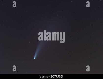 Comet Neowise dans le ciel nocturne Banque D'Images