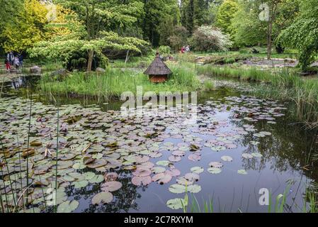 Étang dans l'arboretum de l'Université des sciences de la vie de Varsovie dans le village de Rogow dans la province de Lodzkie en Pologne Banque D'Images