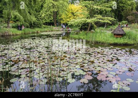 Étang dans l'arboretum de l'Université des sciences de la vie de Varsovie dans le village de Rogow dans la province de Lodzkie en Pologne Banque D'Images