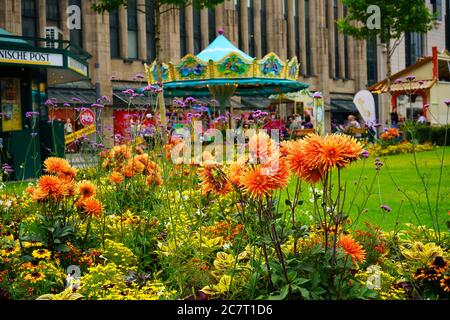 Admirez les fleurs d'été orange colorées : Corneliusplatz, au centre-ville de Düsseldorf, avec un kiosque à journaux et un carrousel nostalgique dans un arrière-plan flou. Banque D'Images