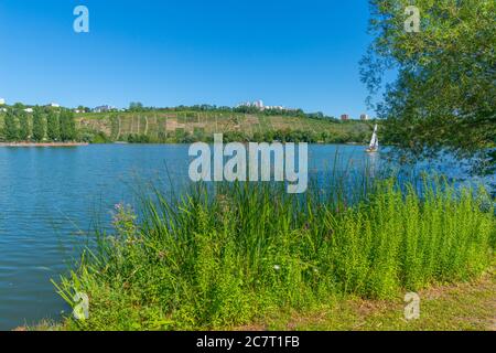 Vignobles de Stuttgart-Mühlhausen sur le Neckar, ville de Stuttgart, Bade-Wurtemberg, Allemagne du Sud, Europe centrale Banque D'Images