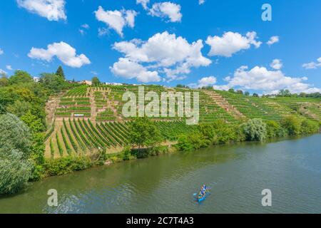 Vignobles de Stuttgart-Mühlhausen sur le Neckar, ville de Stuttgart, Bade-Wurtemberg, Allemagne du Sud, Europe centrale Banque D'Images