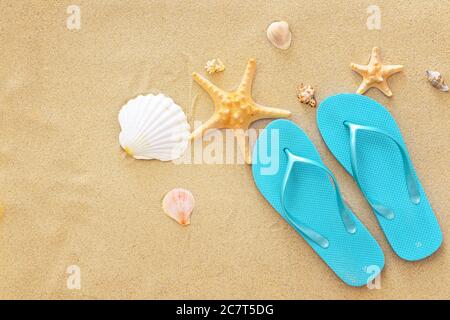 Tongs et coquillages élégants sur le sable de la plage Banque D'Images
