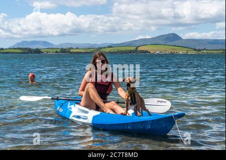 Bantry, West Cork, Irlande. 19 juillet 2020. Bantry était très occupé cet après-midi car les gens apprécient la journée chaude et ensoleillée. Les vacanciers et les habitants de la région se sont dirigés vers la côte pour profiter au maximum du bon temps. Elena Swinburn, originaire d'Australie, et son chien de secours « Starsky » sont photographiés sur un kayak. Crédit : AG News/Alay Live News Banque D'Images