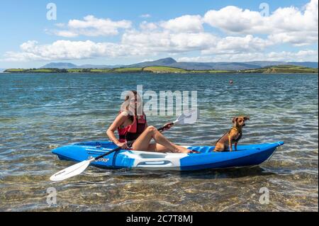 Bantry, West Cork, Irlande. 19 juillet 2020. Bantry était très occupé cet après-midi car les gens apprécient la journée chaude et ensoleillée. Les vacanciers et les habitants de la région se sont dirigés vers la côte pour profiter au maximum du bon temps. Elena Swinburn, originaire d'Australie, et son chien de secours « Starsky » sont photographiés sur un kayak. Crédit : AG News/Alay Live News Banque D'Images