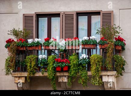 Fenêtres colorées pleines de fleurs Banque D'Images