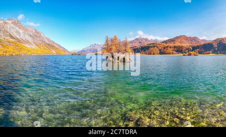 Vues pittoresques sur le lac de Sils (Silsersee) avec de petites îles. Scène automnale colorée des Alpes suisses. Lieu: Maloya, région de l'Engadine, Grisons Banque D'Images