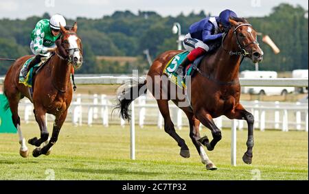 Le géant mondial, monté par Frankie Dettori, remporte les mises Steventon de l'année suivante à l'hippodrome de Newbury. Banque D'Images