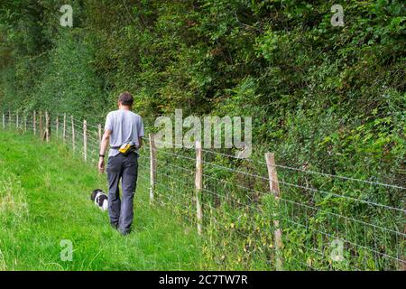 Homme qui va faire une promenade le dimanche en été avec son chien, un cafpoo, à Wealden, dans l'est du Sussex Banque D'Images