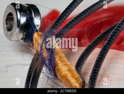 Une ancienne corde de violoncelle en gros plan Banque D'Images