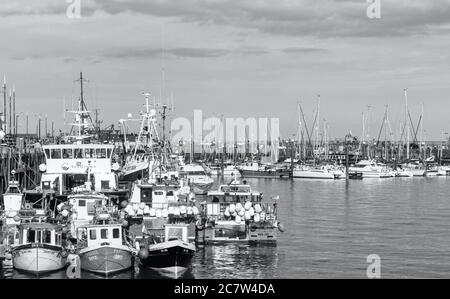 Le port de Scarborough. Les bateaux de pêche sont amarrés ensemble le long d'un quai. Leurs réflexions sont dans l'eau. Banque D'Images
