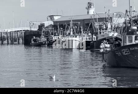 Le port de Scarborough. Les bateaux de pêche sont amarrés ensemble le long d'un quai et un phare s'élève derrière un bâtiment. Banque D'Images
