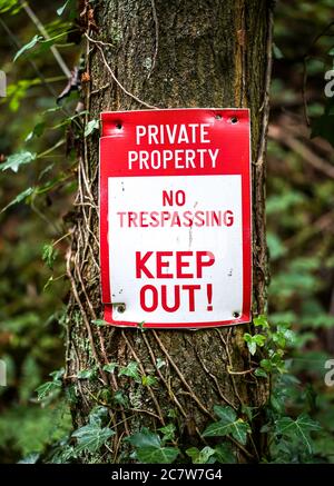 Panneau de signalisation dans les bois du Royaume-Uni. Signalisation avertissant le public de se tenir à l'extérieur, pas d'intrusion, propriété privée. Banque D'Images
