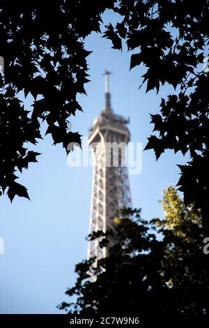 Vue à couper le souffle de la tour Eiffel à Paris à travers le feuilles vertes Banque D'Images