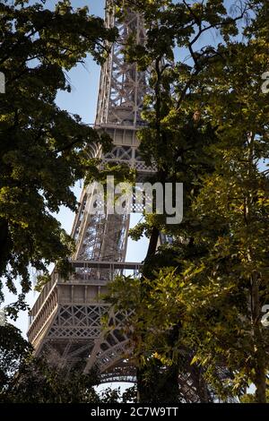 Vue à couper le souffle de la tour Eiffel à Paris à travers le feuilles vertes Banque D'Images