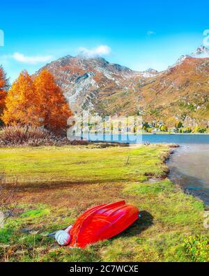 Vues pittoresques sur le lac Sils (Silsersee). Scène automnale colorée des Alpes suisses. Lieu: Maloya, région de l'Engadine, canton des Grisons, Suisse Banque D'Images