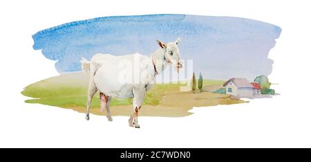 Chèvre blanc femelle sur simple paysage d'aquarelle avec des prairies et maison solitaire avec quelques arbres. Illustration rurale horisontale isolée sur blanc Banque D'Images