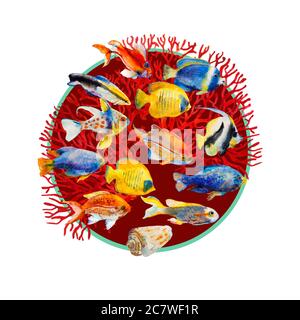 poissons de mer tropic aquarelle motif rond avec coraux rouges, isolés sur fond blanc. Différents animaux de récif et coraux comme dans la faune ou dans Banque D'Images