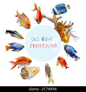 poissons de mer tropic aquarelle cadre rond avec place pour le texte, isolé sur fond blanc. Différents animaux de récif et coraux comme dans la faune ou dans Banque D'Images