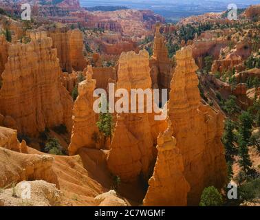 Bryce Canyon National Park UT / JUILLET petit matin lumière sur les formations rocheuses de Fairyland point. La formation à distance est connue comme un marteau de Thor. Banque D'Images