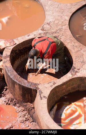 Fès, Maroc - 9 mars 2018 : un homme travaillant à l'intérieur d'un navire en pierre avec des cuirs dans une tannerie traditionnelle de la ville de Fès, au Maroc. Travail traditionnel Banque D'Images