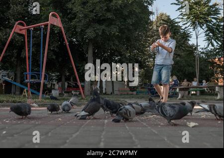 Garçon nourrit les pigeons dans le parc. Beaucoup d'oiseaux. Bébé heureux nourrir les pigeons affamés Banque D'Images