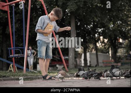 Garçon nourrit les pigeons dans le parc. Beaucoup d'oiseaux. Bébé heureux nourrir les pigeons affamés Banque D'Images