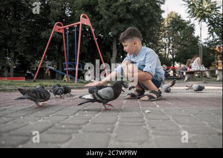 Garçon nourrit les pigeons dans le parc. Beaucoup d'oiseaux. Bébé heureux nourrir les pigeons affamés Banque D'Images