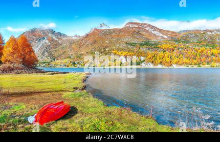 Vues pittoresques sur le lac Sils (Silsersee). Scène automnale colorée des Alpes suisses. Lieu: Maloya, région de l'Engadine, canton des Grisons, Suisse Banque D'Images