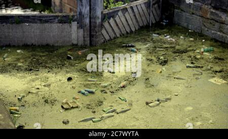 Glasgow, Écosse, Royaume-Uni 19 juillet 2020 : les algues bleues ou les cyanobactéries sur le canal Forth et clyde en raison du temps chaud causent des problèmes de santé pour les humains et les animaux de compagnie et la chute des niveaux d'eau provoque une concentration de la pollution des eaux et des déchets. Crédit : Gerard Ferry/Alay Live News Banque D'Images